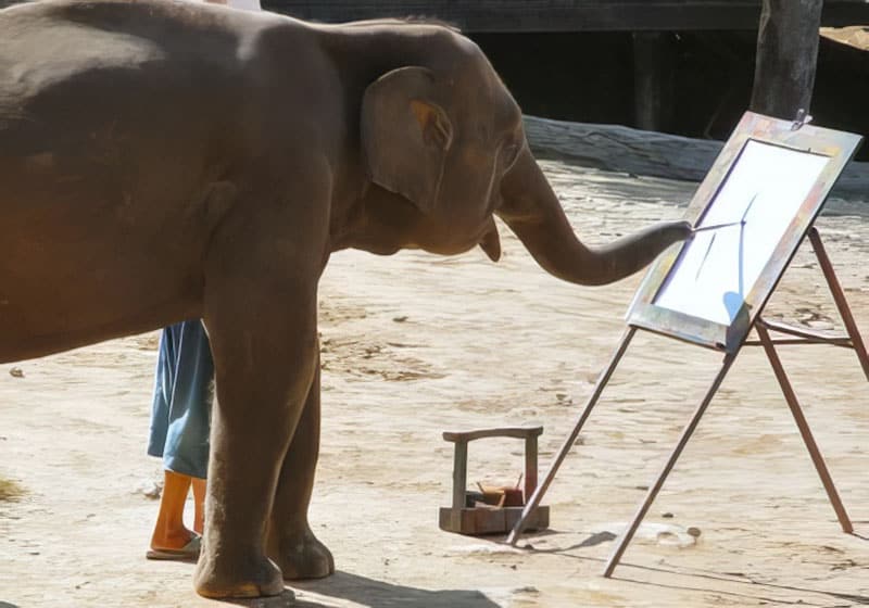 Ruby the painting elephant
